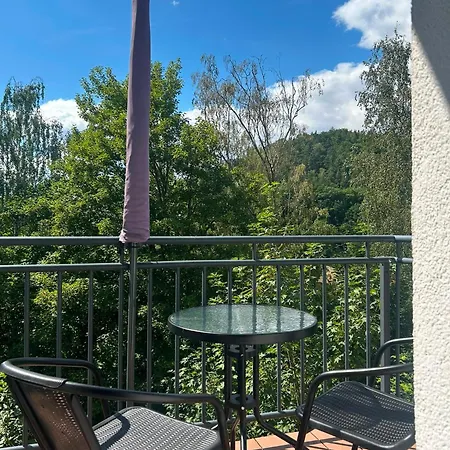 Haus Charlottenburg 3, Zentrumsnah Gelegen, Mit Blick Auf Festung, Mit Sauna Option Königstein an der Elbe